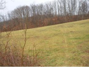 825 Cedar Branch Road Kingsport, TN 37664 - Photo 2 of 6 Photo 2