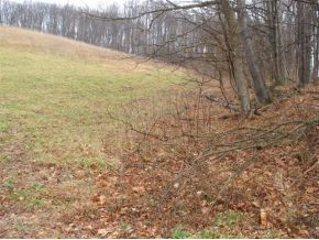 825 Cedar Branch Road Kingsport, TN 37664 - Photo 3 of 6 Photo 3