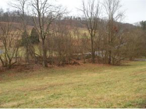 825 Cedar Branch Road Kingsport, TN 37664 - Photo 4 of 6 Photo 4