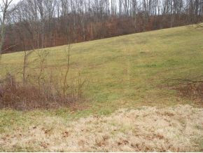 825 Cedar Branch Road Kingsport, TN 37664 - Photo 6 of 6 Photo 6