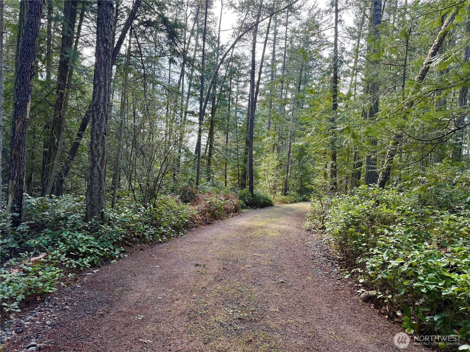 1111 Tarte Road Friday Harbor, WA 98250 - Photo 11 of 39