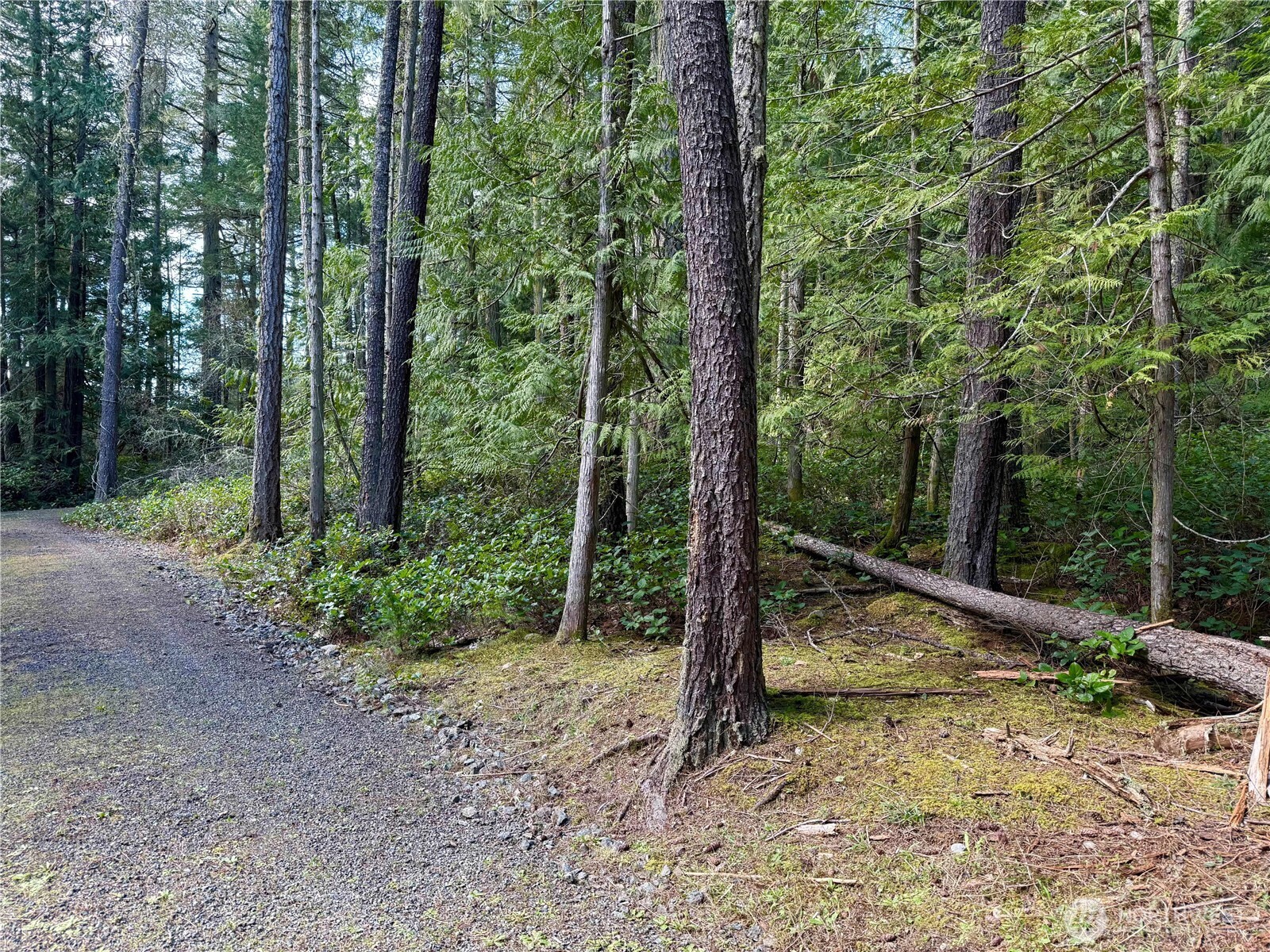 1111 Tarte Road Friday Harbor, WA 98250 - Photo 12 of 39