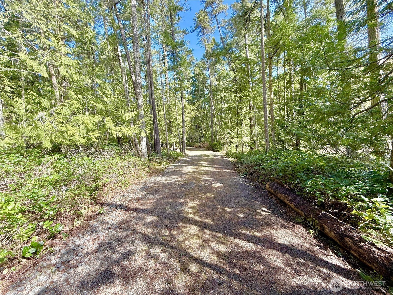 1111 Tarte Road Friday Harbor, WA 98250 - Photo 13 of 39