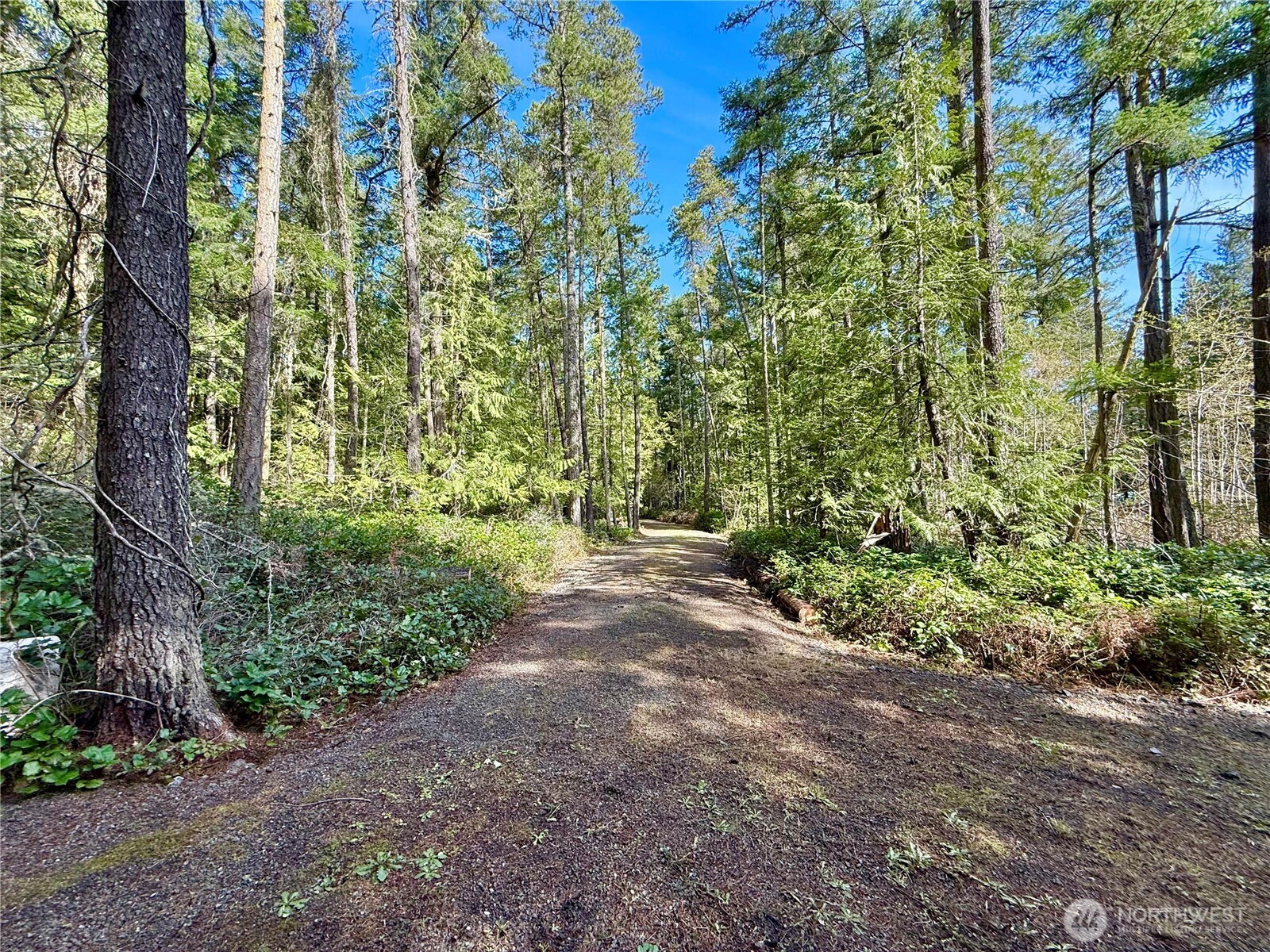 1111 Tarte Road Friday Harbor, WA 98250 - Photo 14 of 39