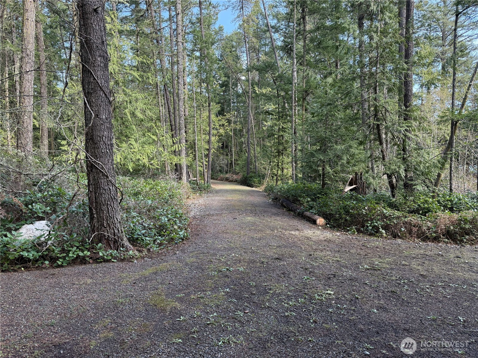 1111 Tarte Road Friday Harbor, WA 98250 - Photo 15 of 39