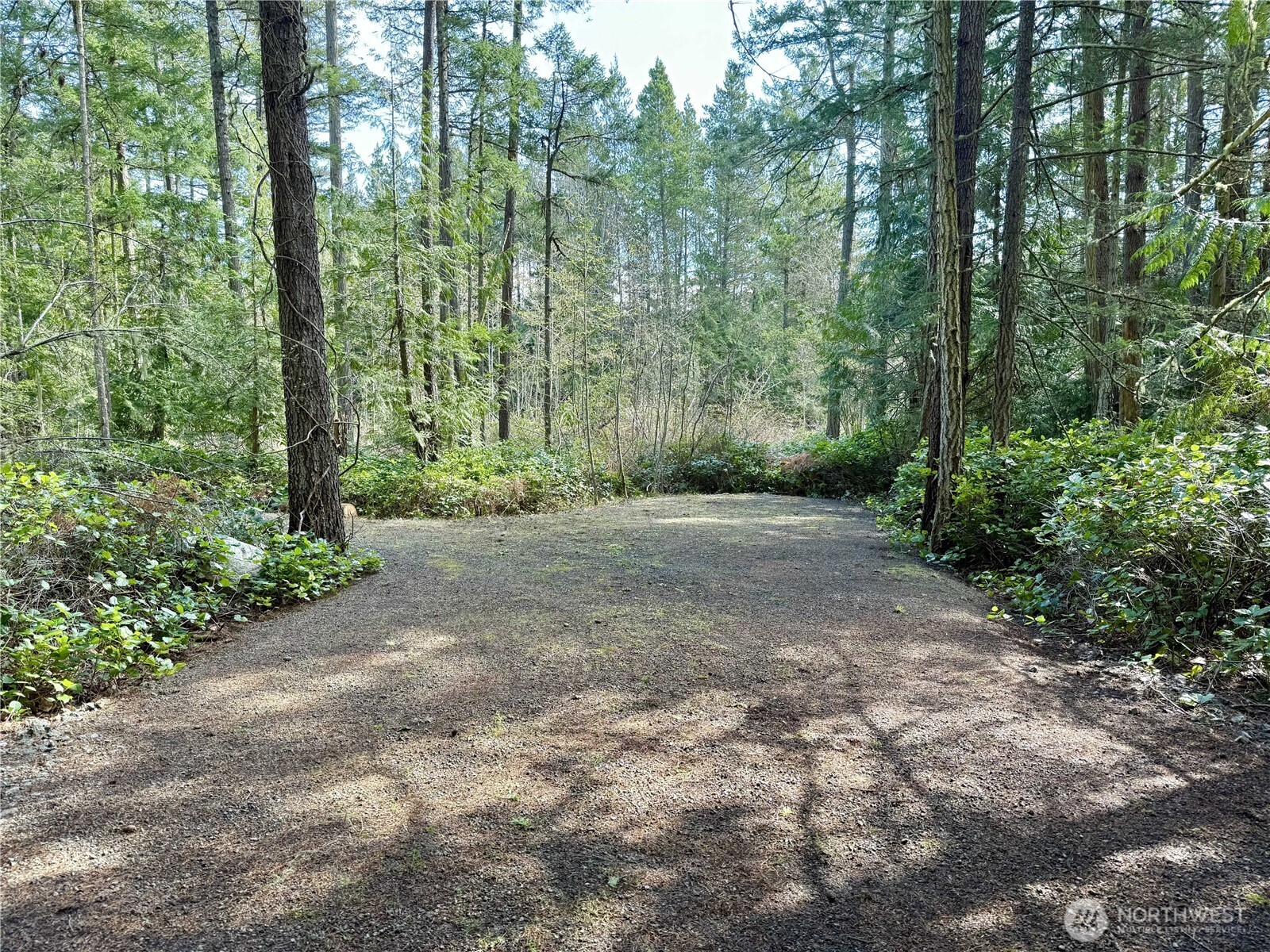 1111 Tarte Road Friday Harbor, WA 98250 - Photo 16 of 39