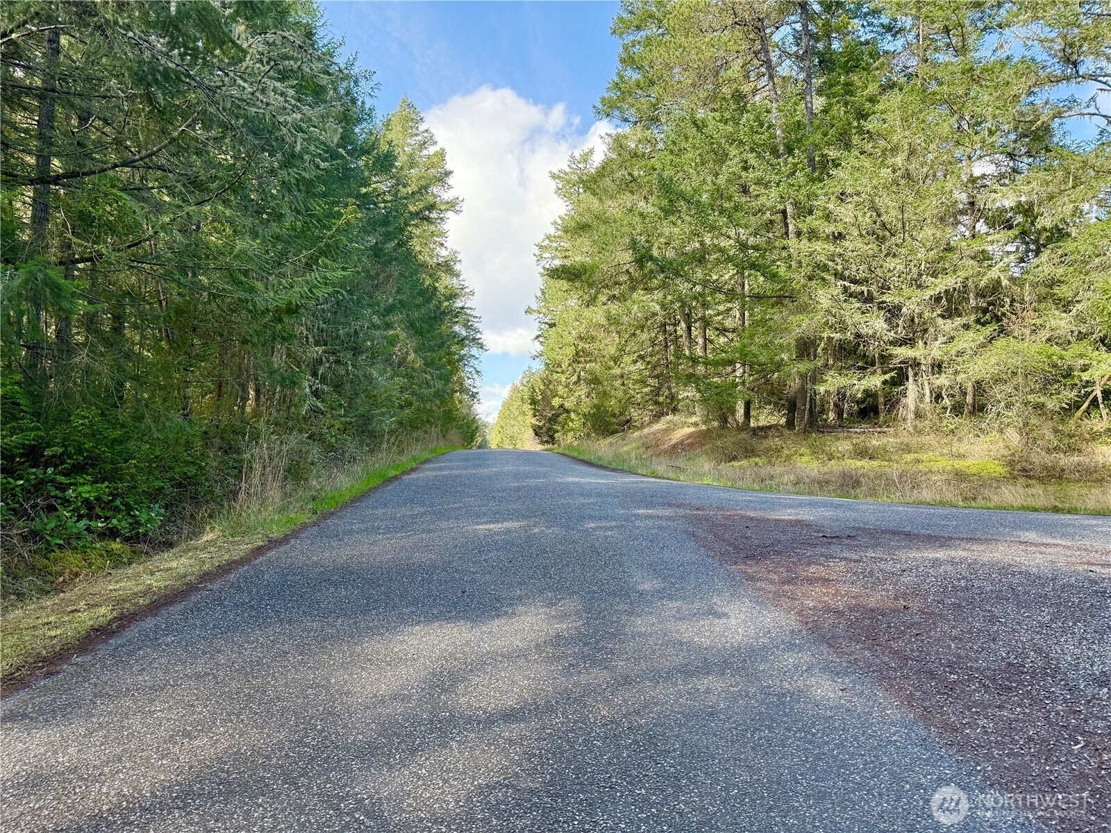 1111 Tarte Road Friday Harbor, WA 98250 - Photo 6 of 39