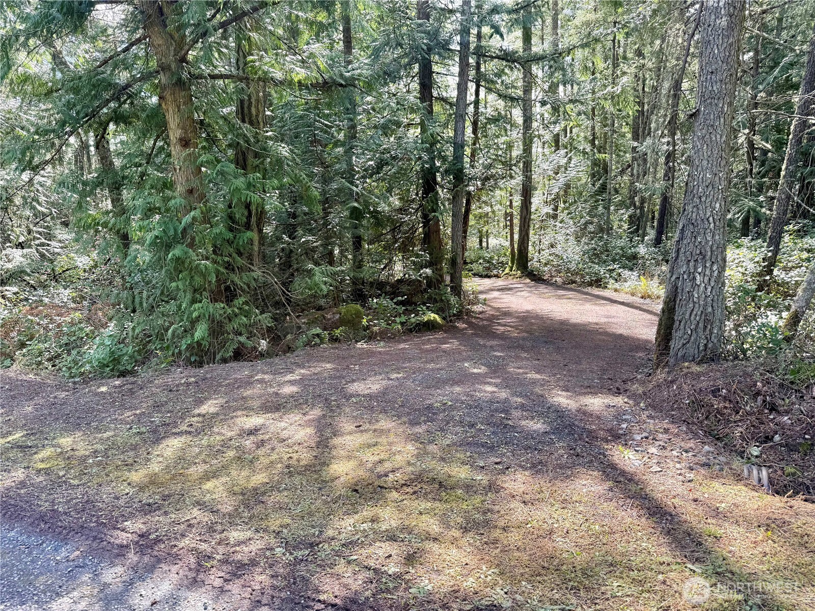 1111 Tarte Road Friday Harbor, WA 98250 - Photo 7 of 39