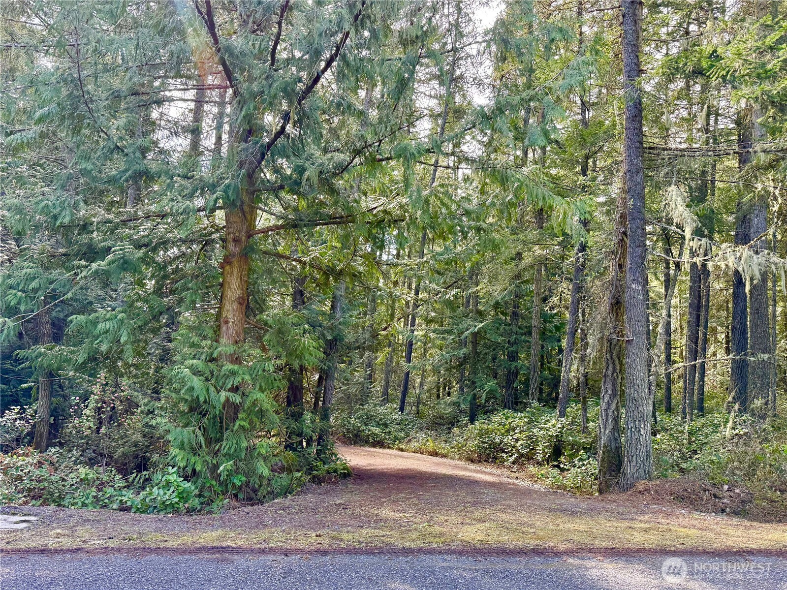 1111 Tarte Road Friday Harbor, WA 98250 - Photo 8 of 39