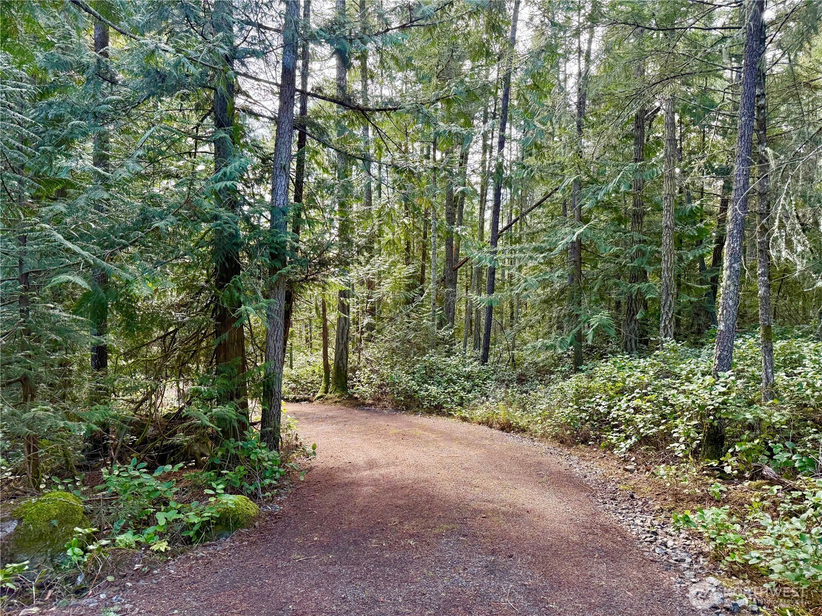 1111 Tarte Road Friday Harbor, WA 98250 - Photo 9 of 39