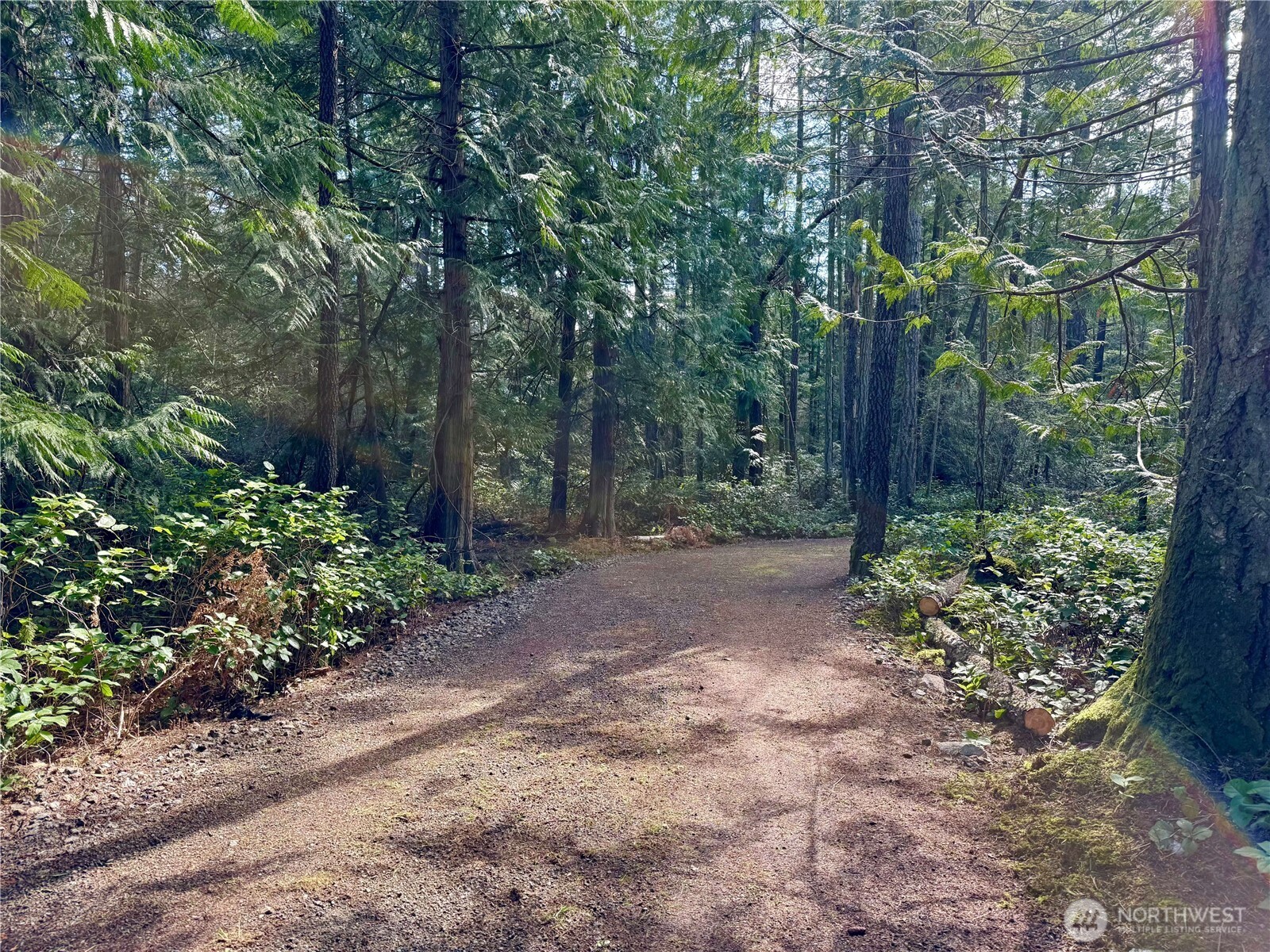 1111 Tarte Road Friday Harbor, WA 98250 - Photo 10 of 39