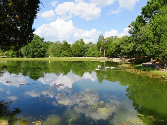 111 Post Oak Lane Elgin, TX 78621 - Photo 38 of 39 Community catch and release fishing pond