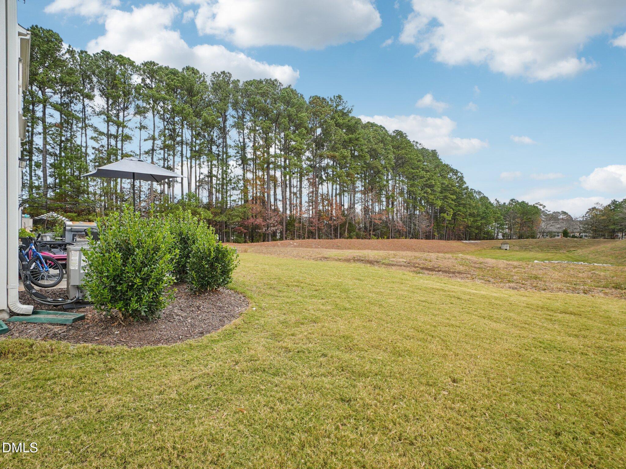 8744 Red Canyon Way Raleigh, NC 27616 - Photo 35 of 37 40-web-or-mls-Red Canyon Way-S2611-040