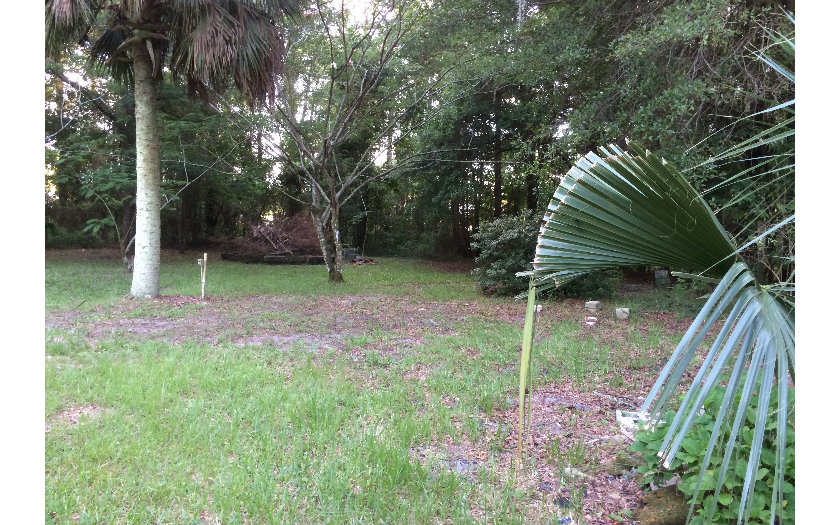 54283 Lawhon Road South Callahan, FL 32011 - Photo 3 of 16 a backyard of a house with plants and large trees