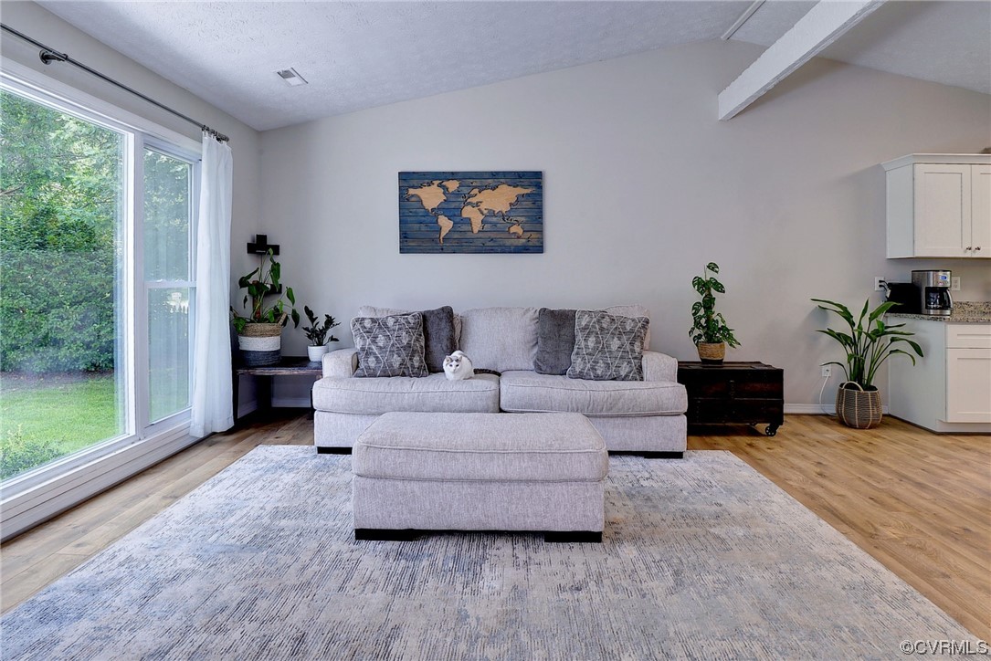 250 Reflection Drive Williamsburg, VA 23188 - Photo 12 of 42 a living room with furniture a potted plant and a large window