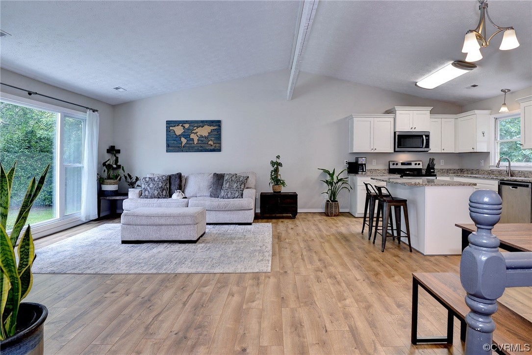 250 Reflection Drive Williamsburg, VA 23188 - Photo 19 of 42 a living room with furniture and a wooden floor