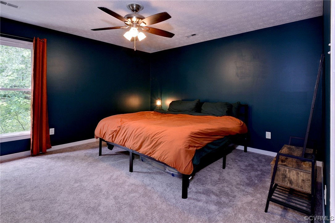 250 Reflection Drive Williamsburg, VA 23188 - Photo 20 of 42 a bed sitting in a room next to a window