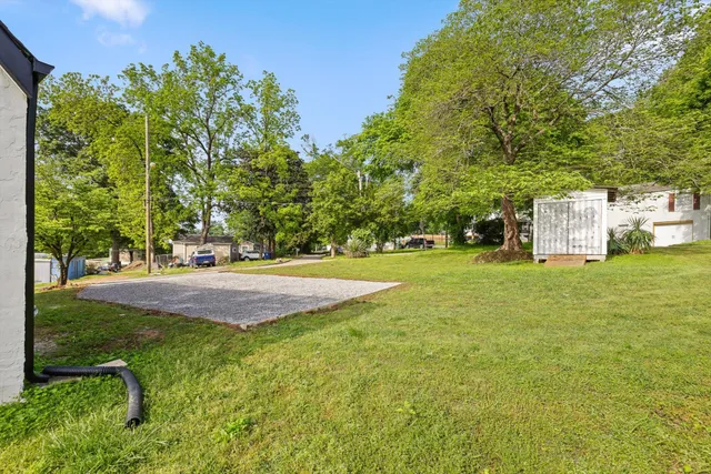 a view of yard with tree