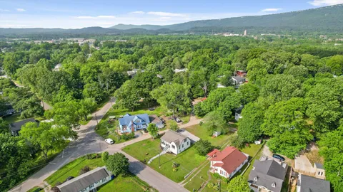 a view of a city with lush green forest
