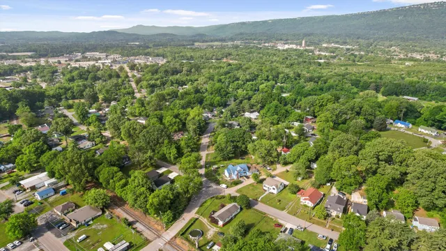 a view of a lush green forest with trees in the background