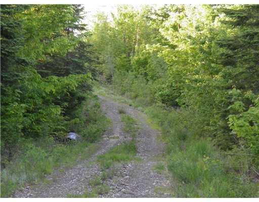 2 Coyotte Road Avon, ME 04966 - Photo 12 of 25 Land/Lot. Camp road on the lot.