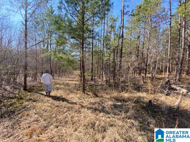 0 Jones Chapel Loop, Unit 15 / ACRES Springville, AL 35146 - Photo 4 of 10