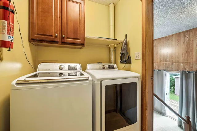 an aerial view of green landscape with trees houses and lake view