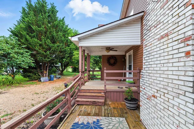 a view of a garden with a swimming pool