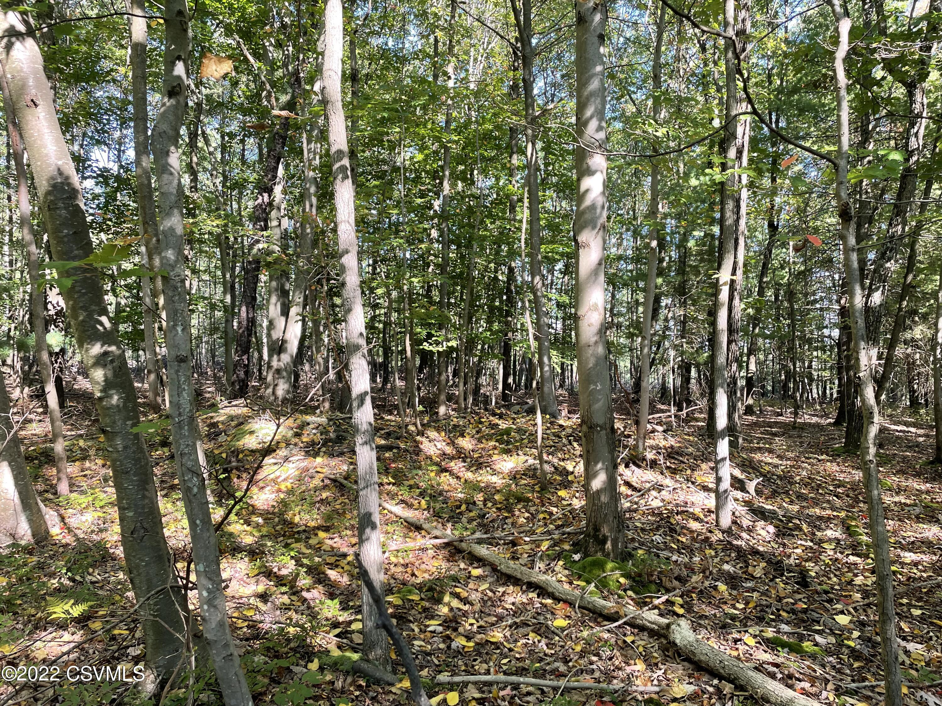 Hollow Road Millville, PA 17846 - Photo 8 of 9 Gallery Image 8