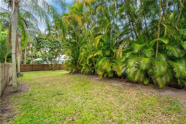 a view of a yard with a tree