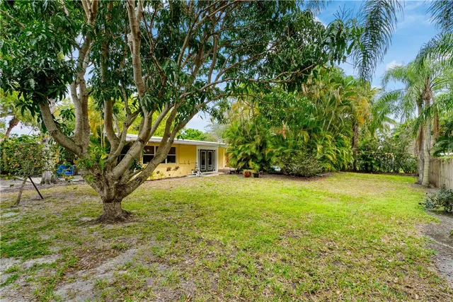 a view of a big yard with plants and large trees