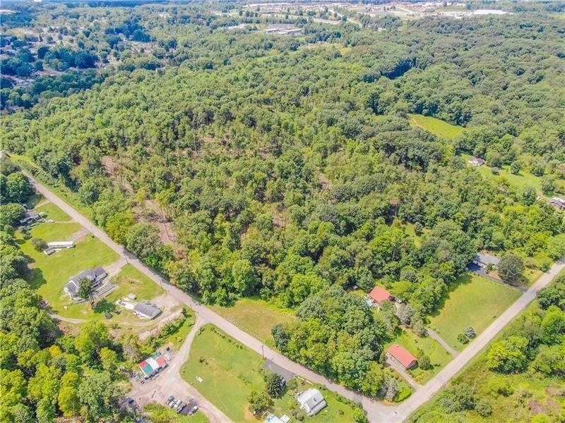 a view of a garden with a flower garden