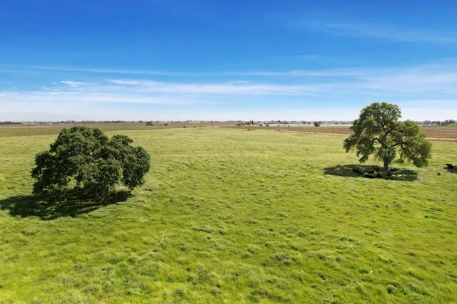 a view of an ocean and beach