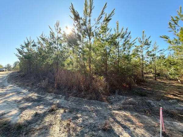 $49,900 | 8 Brunson Teal Road, Patrick, SC 29584