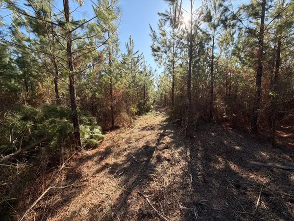 $49,900 | 8 Brunson Teal Road, Patrick, SC 29584