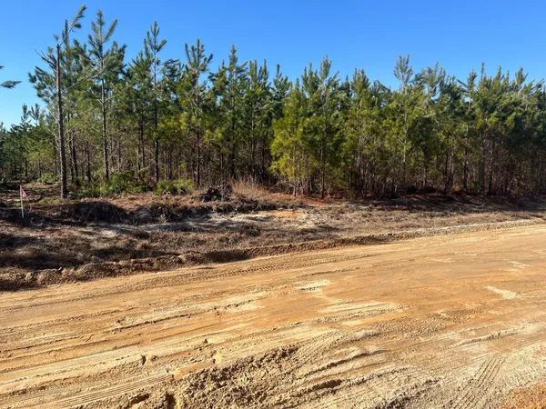 $49,900 | 8 Brunson Teal Road, Patrick, SC 29584