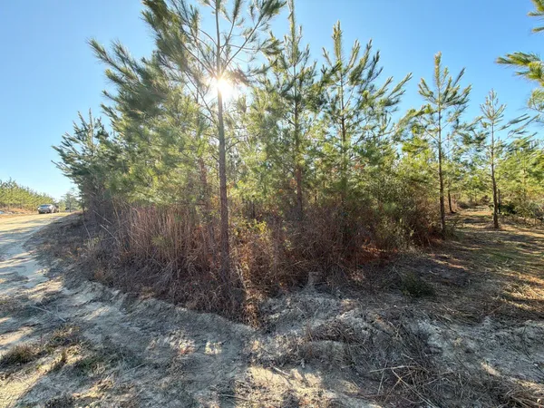 $49,900 | 8 Brunson Teal Road, Patrick, SC 29584