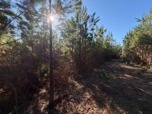 $49,900 | 8 Brunson Teal Road, Patrick, SC 29584