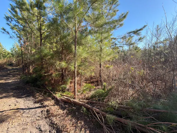 $49,900 | 8 Brunson Teal Road, Patrick, SC 29584
