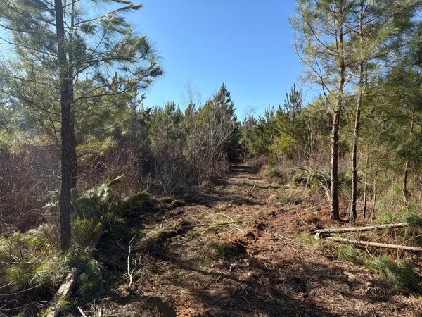 $49,900 | 8 Brunson Teal Road, Patrick, SC 29584