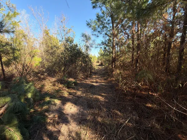 $49,900 | 8 Brunson Teal Road, Patrick, SC 29584
