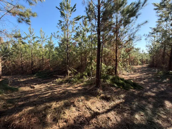 $49,900 | 8 Brunson Teal Road, Patrick, SC 29584