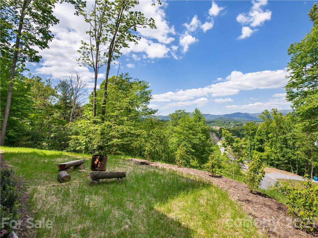 804 Burney Mountain Road Fletcher, NC 28732 - Photo 25 of 38 Gallery Image 25