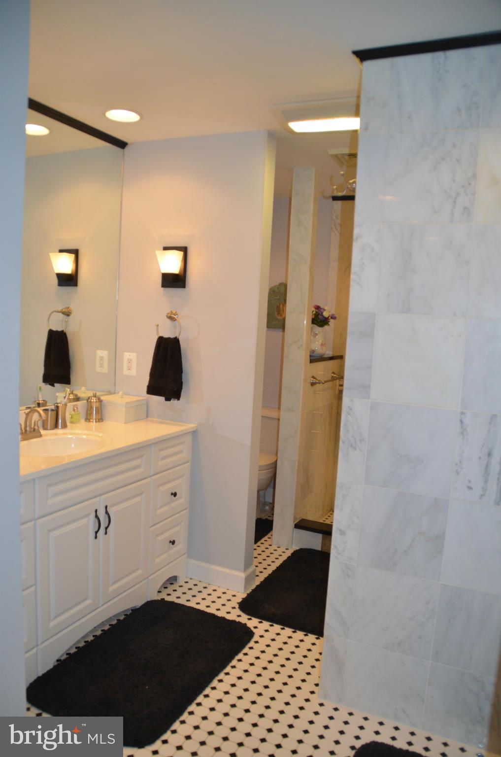 6299 Landing Neck Road Easton, MD 21601 - Photo 21 of 30 Bath (Master)