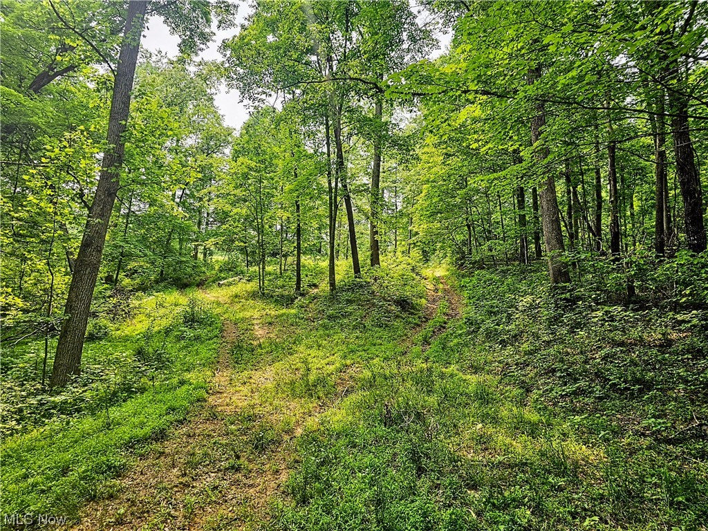 0 Buck Road Leon, WV 25123 - Photo 20 of 25