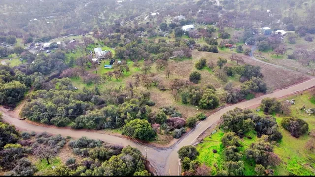 a view of a garden with a tree