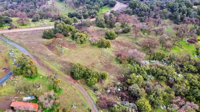 a view of a garden with flowers