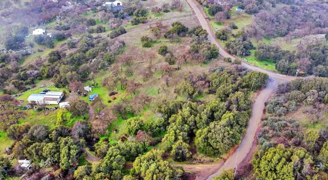 a picture of flowers