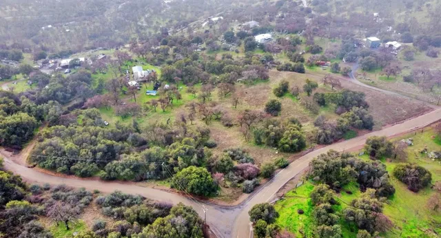 a view of a garden with flowers