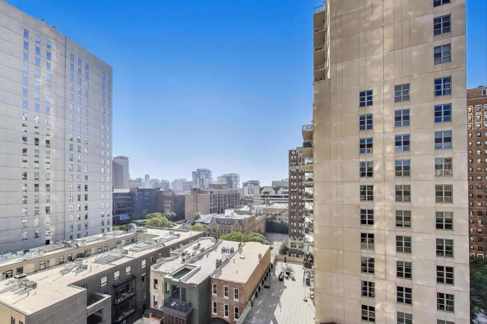 1030 North State Street, Unit 5B Chicago, IL 60610 - Photo 29 of 36 a city view with tall buildings